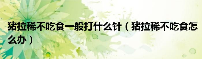 猪拉稀不吃食一般打什么针(猪拉稀不吃食怎么办)