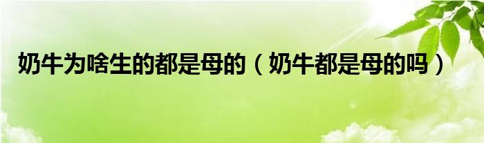 奶牛为啥生的都是母的(奶牛都是母的吗)