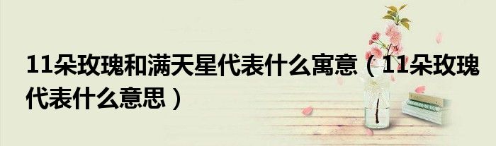 11朵玫瑰和满天星代表什么寓意(11朵玫瑰代表什么意思)