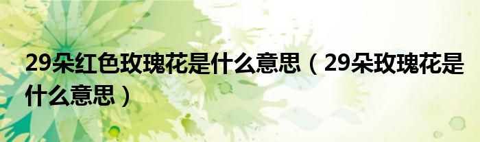 29朵红色玫瑰花是什么意思(29朵玫瑰花是什么意思)