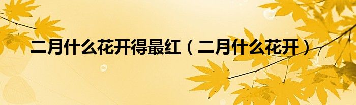 二月什么花开得最红(二月什么花开)