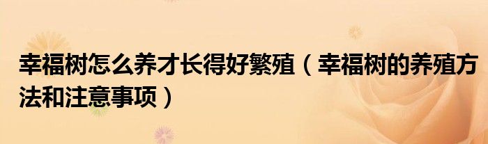 幸福树怎么养才长得好繁殖(幸福树的养殖方法和注意事项)