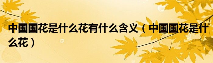 中国国花是什么花有什么含义(中国国花是什么花)