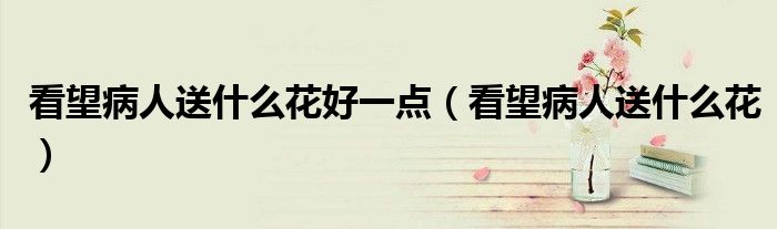 看望病人送什么花好一点(看望病人送什么花)
