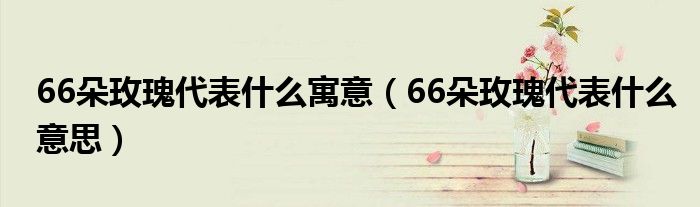66朵玫瑰代表什么寓意(66朵玫瑰代表什么意思)