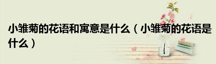 小雏菊的花语和寓意是什么(小雏菊的花语是什么)