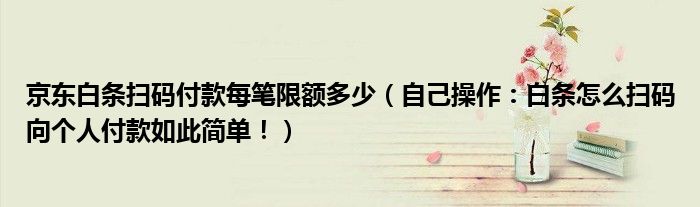 京东白条扫码付款每笔限额多少(自己操作:白条怎么扫码向个人付款如此简单!)