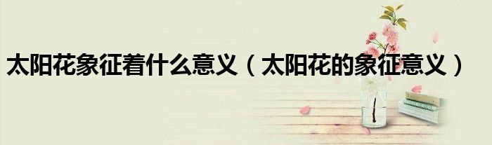 太阳花象征着什么意义(太阳花的象征意义)