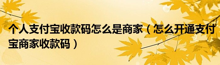 个人支付宝收款码怎么是商家(怎么开通支付宝商家收款码)