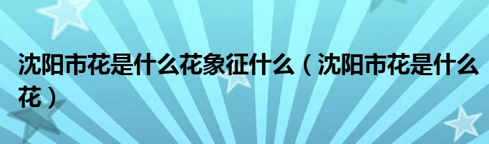 沈阳市花是什么花象征什么(沈阳市花是什么花)