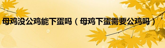 母鸡没公鸡能下蛋吗(母鸡下蛋需要公鸡吗)