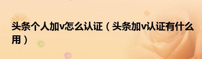 头条个人加v怎么认证(头条加v认证有什么用)