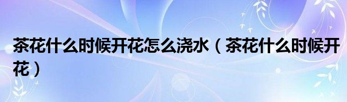 茶花什么时候开花怎么浇水(茶花什么时候开花)