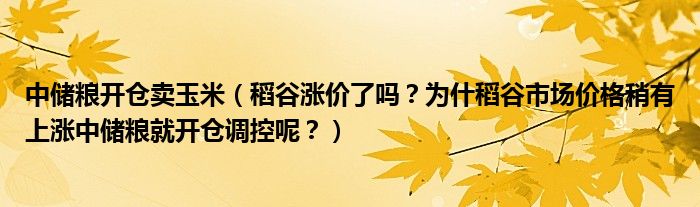 中储粮开仓卖玉米(稻谷涨价了吗?为什稻谷市场价格稍有上涨中储粮就开仓调控呢?)