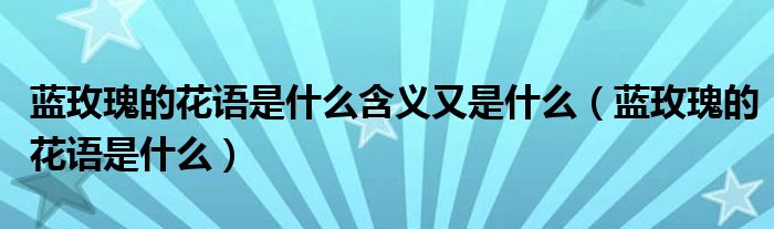 蓝玫瑰的花语是什么含义又是什么(蓝玫瑰的花语是什么)