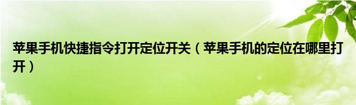 苹果手机快捷指令打开定位开关(苹果手机的定位在哪里打开)