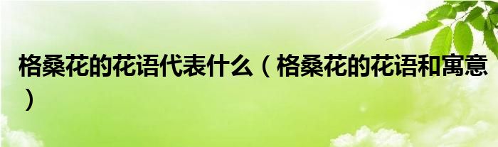 格桑花的花语代表什么（格桑花的花语和寓意）