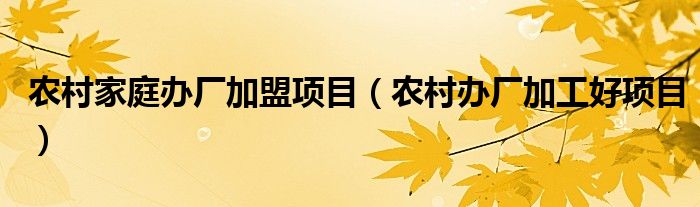 农村家庭办厂加盟项目(农村办厂加工好项目)