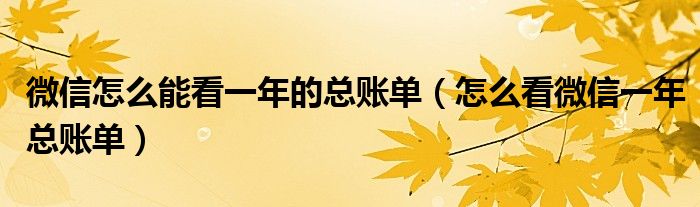 微信怎么能看一年的总账单(怎么看微信一年总账单)