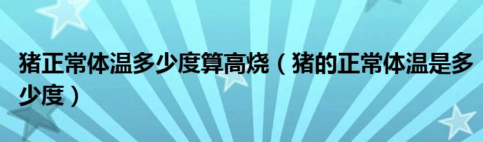 猪正常体温多少度算高烧(猪的正常体温是多少度)
