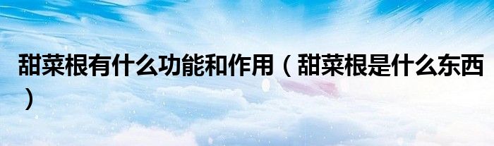 甜菜根有什么功能和作用(甜菜根是什么东西)