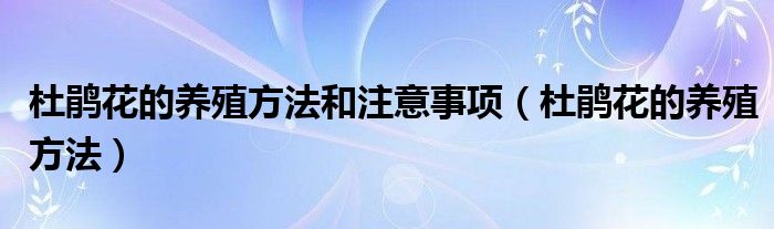 杜鹃花的养殖方法和注意事项(杜鹃花的养殖方法)