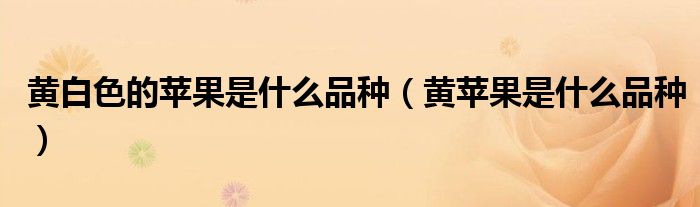 黄白色的苹果是什么品种(黄苹果是什么品种)