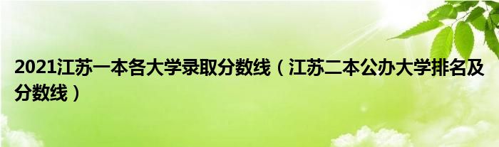 2021江苏一本各大学录取分数线(江苏二本公办大学排名及分数线)