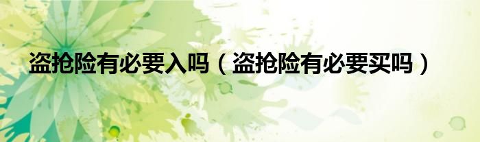 盗抢险有必要入吗(盗抢险有必要买吗)