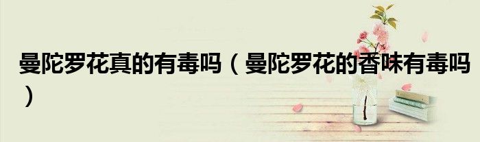曼陀罗花真的有毒吗(曼陀罗花的香味有毒吗)