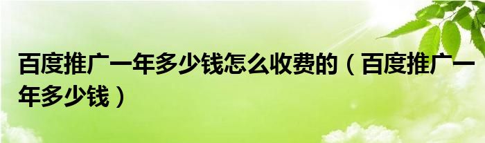 百度推广一年多少钱怎么收费的(百度推广一年多少钱)