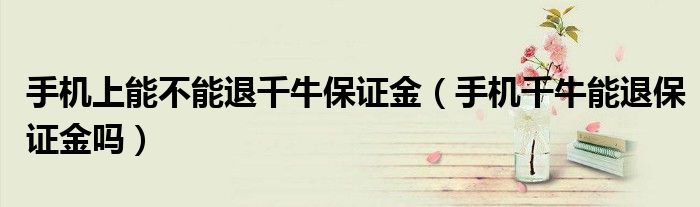 手机上能不能退千牛保证金(手机千牛能退保证金吗)