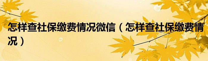 怎样查社保缴费情况微信(怎样查社保缴费情况)