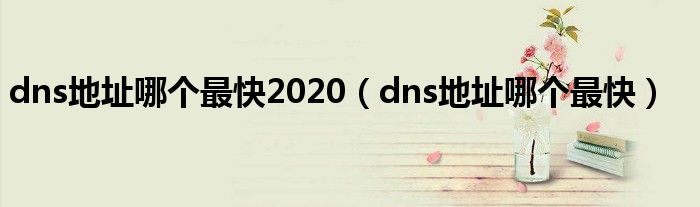 dns地址哪个最快2020(dns地址哪个最快)