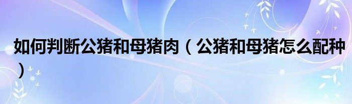如何判断公猪和母猪肉(公猪和母猪怎么配种)