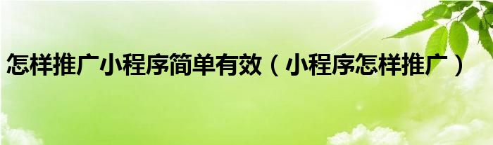 怎样推广小程序简单有效(小程序怎样推广)