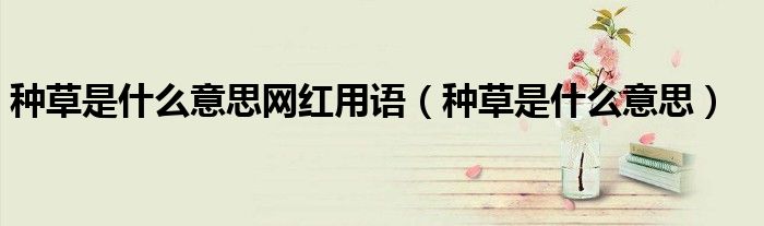种草是什么意思网红用语(种草是什么意思)