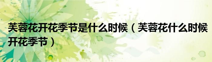 芙蓉花开花季节是什么时候(芙蓉花什么时候开花季节)