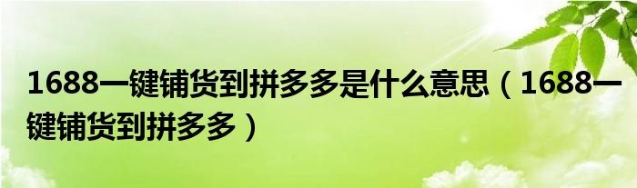 1688一键铺货到拼多多是什么意思(1688一键铺货到拼多多)