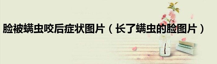 脸被螨虫咬后症状图片(长了螨虫的脸图片)