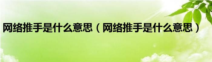 网络推手是什么意思（网络推手是什么意思）