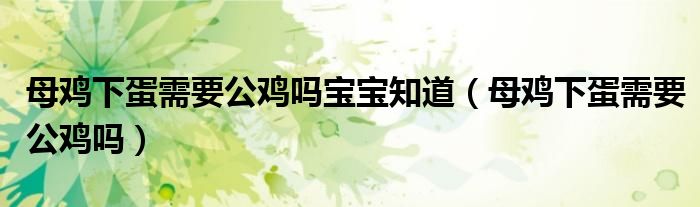 母鸡下蛋需要公鸡吗宝宝知道(母鸡下蛋需要公鸡吗)