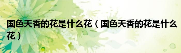国色天香的花是什么花(国色天香的花是什么花)