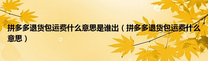 拼多多退货包运费什么意思是谁出(拼多多退货包运费什么意思)