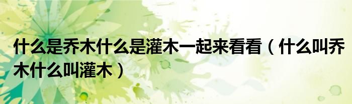 什么是乔木什么是灌木一起来看看(什么叫乔木什么叫灌木)