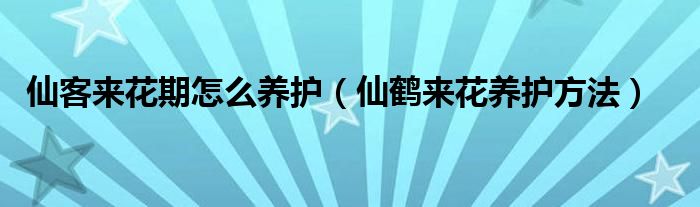 仙客来花期怎么养护(仙鹤来花养护方法)