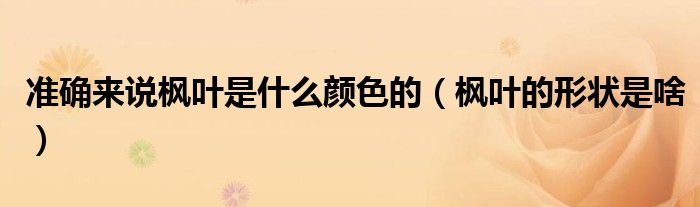 准确来说枫叶是什么颜色的(枫叶的形状是啥)