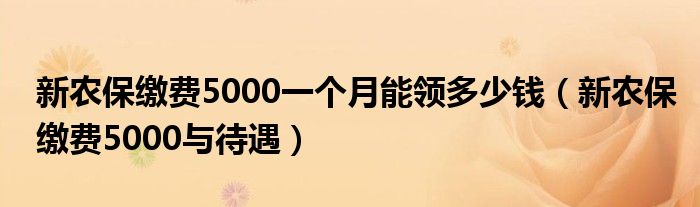 新农保缴费5000一个月能领多少钱（新农保缴费5000与待遇）