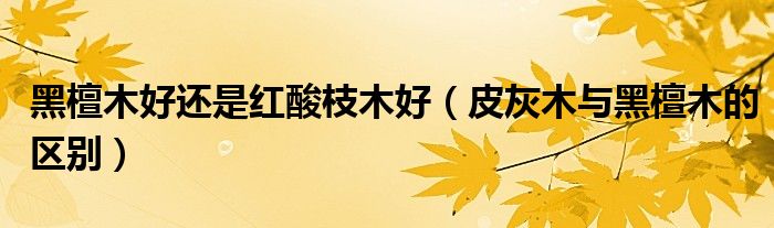 黑檀木好还是红酸枝木好(皮灰木与黑檀木的区别)