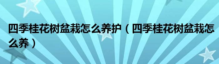 四季桂花树盆栽怎么养护(四季桂花树盆栽怎么养)